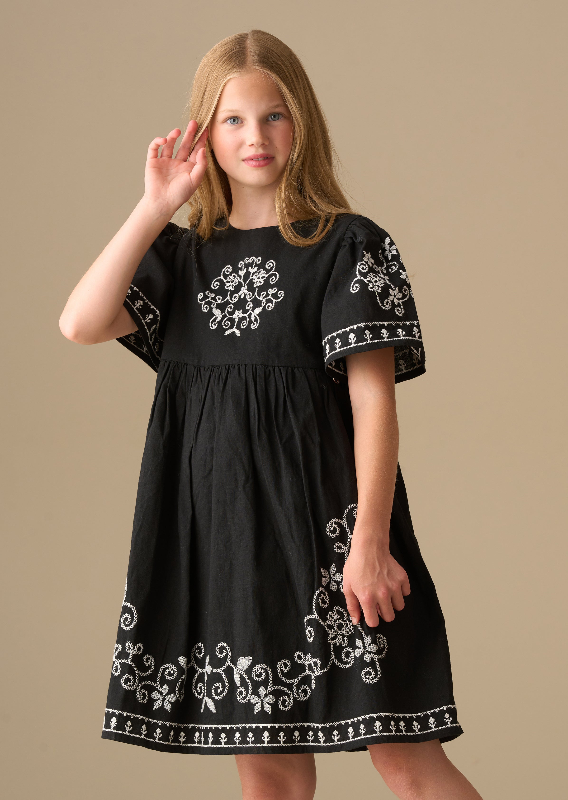 Reyna Black Embroidered Swing Dress