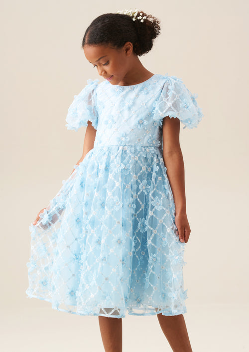 Francine Blue Embellished Puff Sleeve Dress