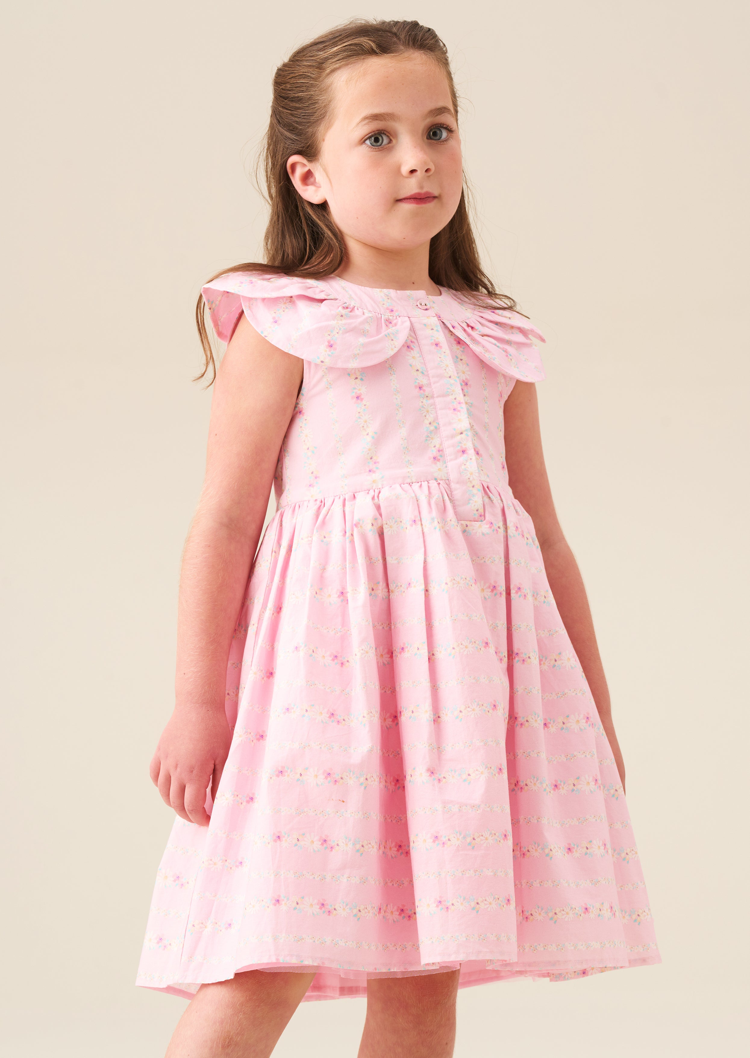 Ellery Floral Stripe Petal Collar Dress