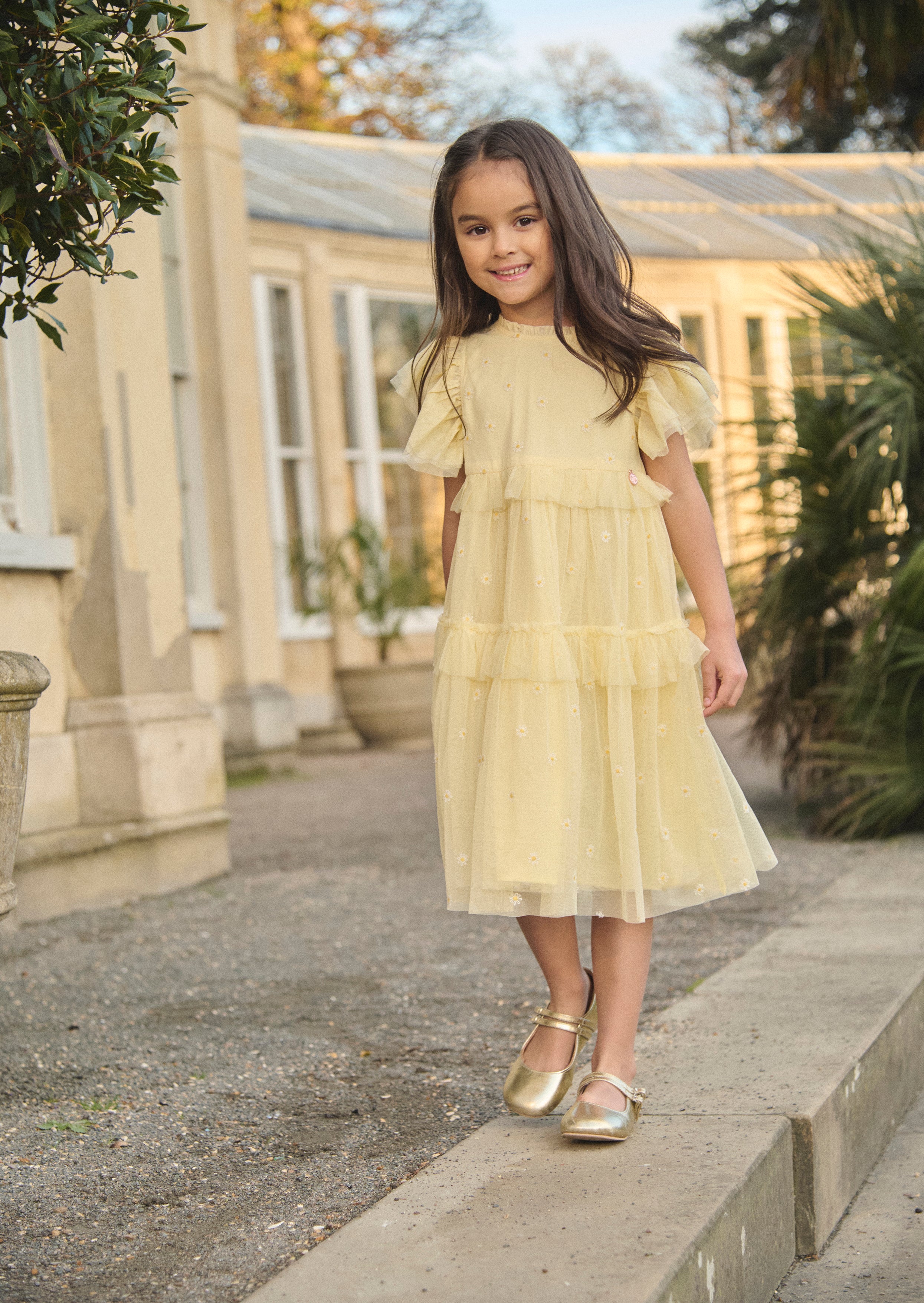 Luisa Yellow Embroidered Mesh Dress