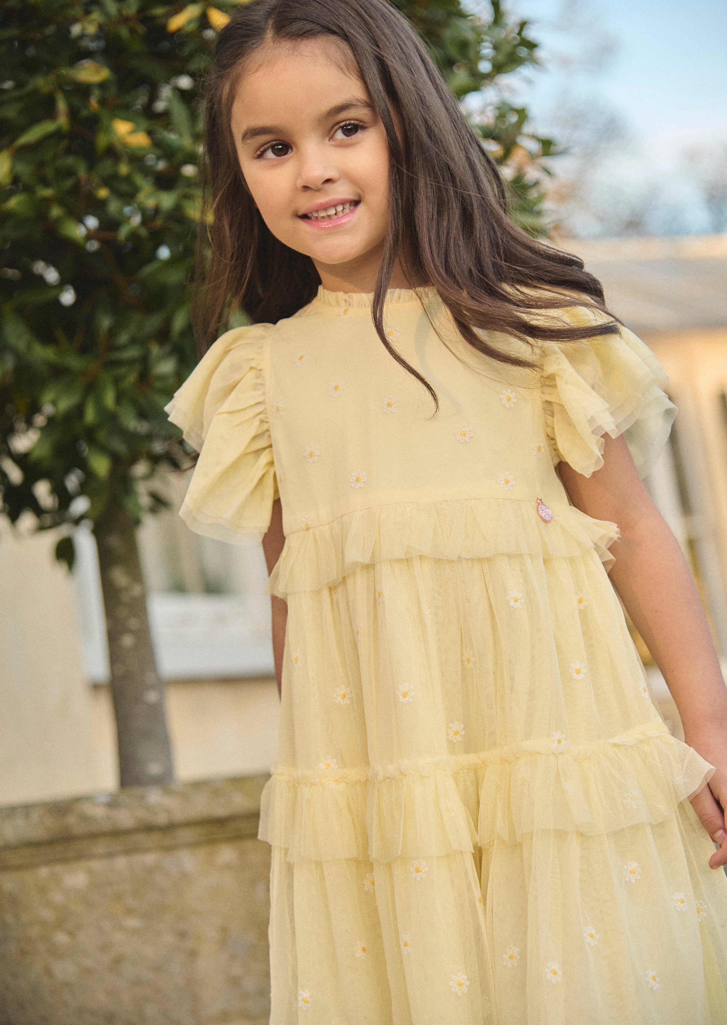 Luisa Yellow Embroidered Mesh Dress