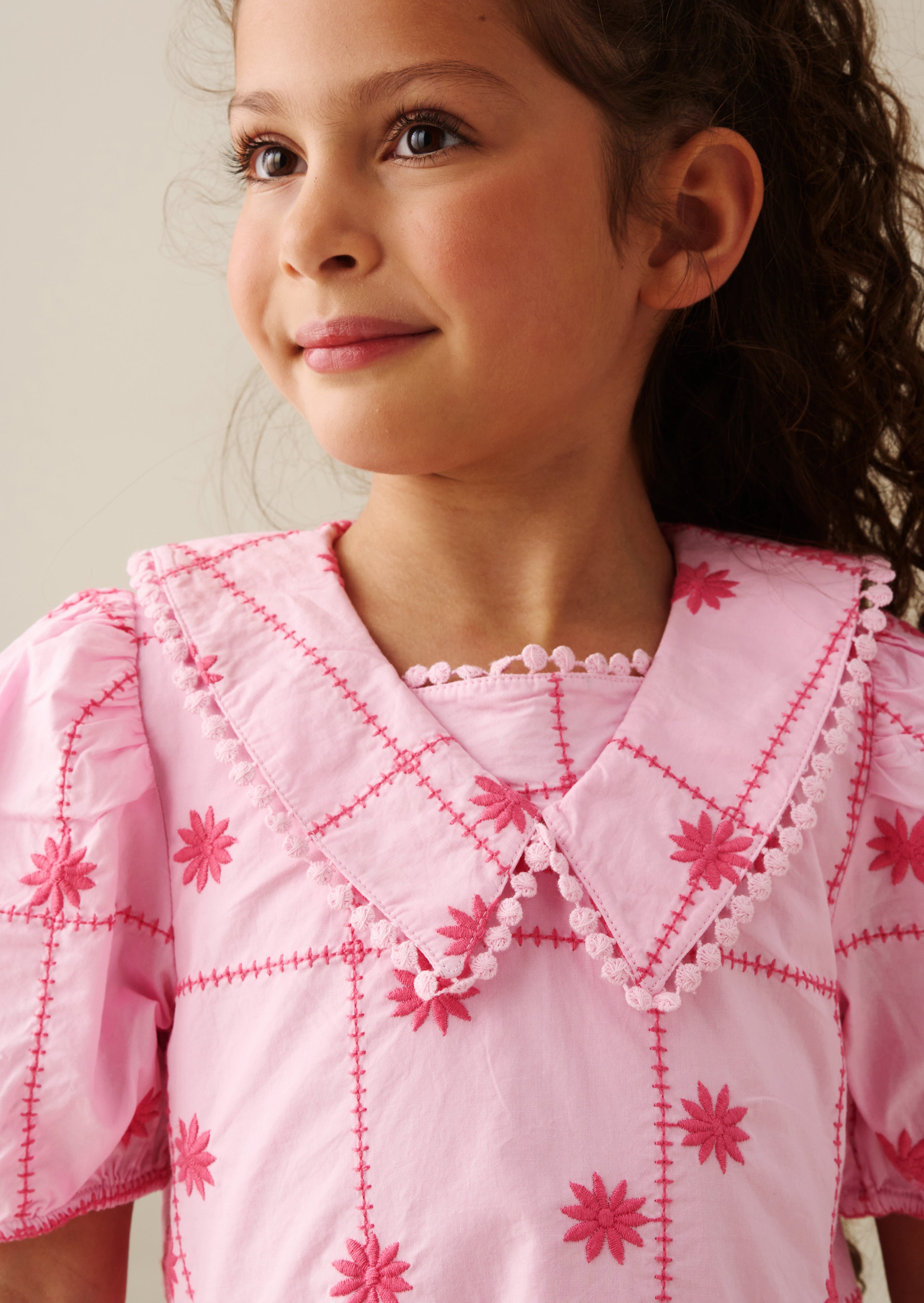 Louise Embroidered Dress