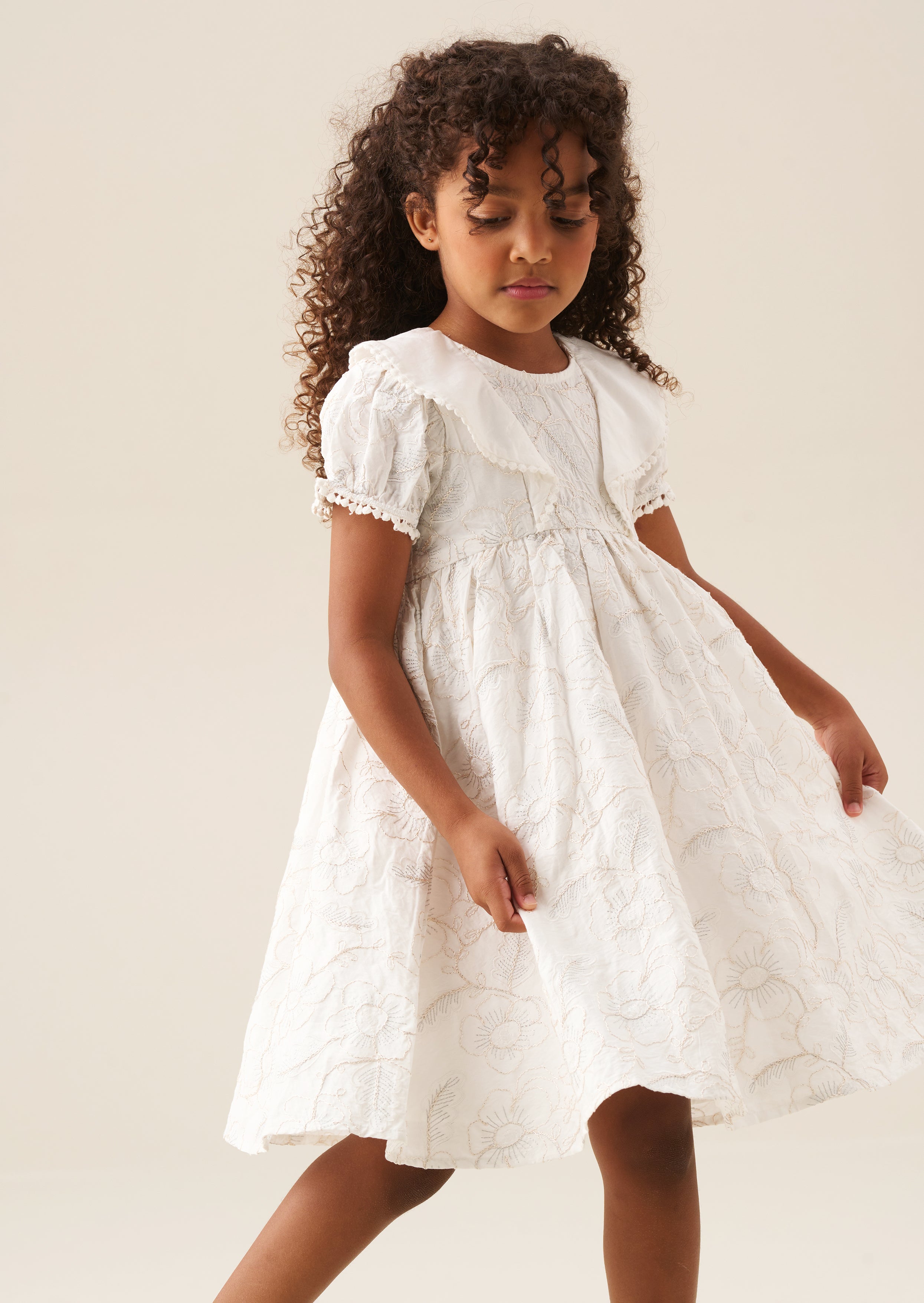 Aurora Floral Embroidered Dress