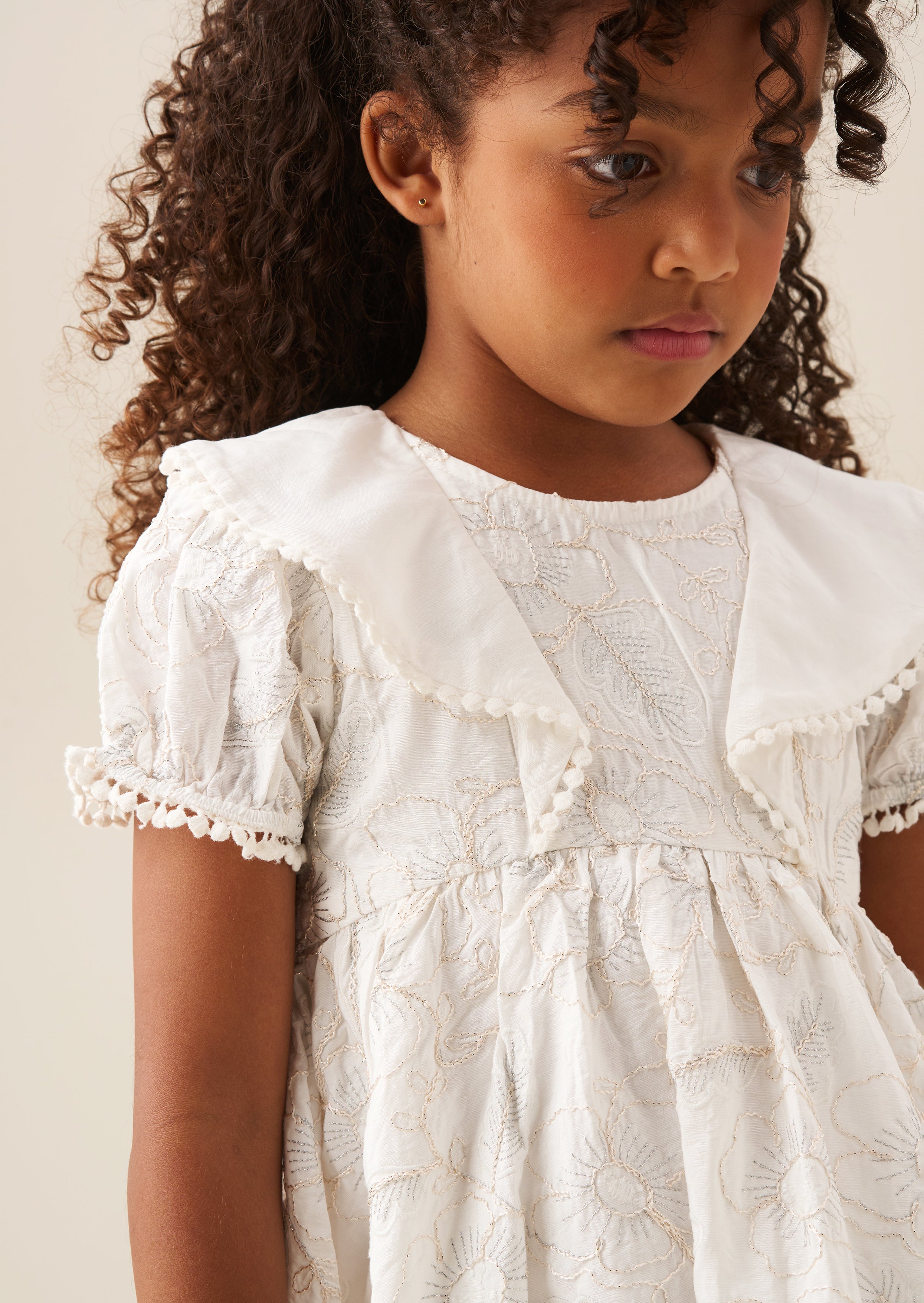 Aurora Floral Embroidered Dress