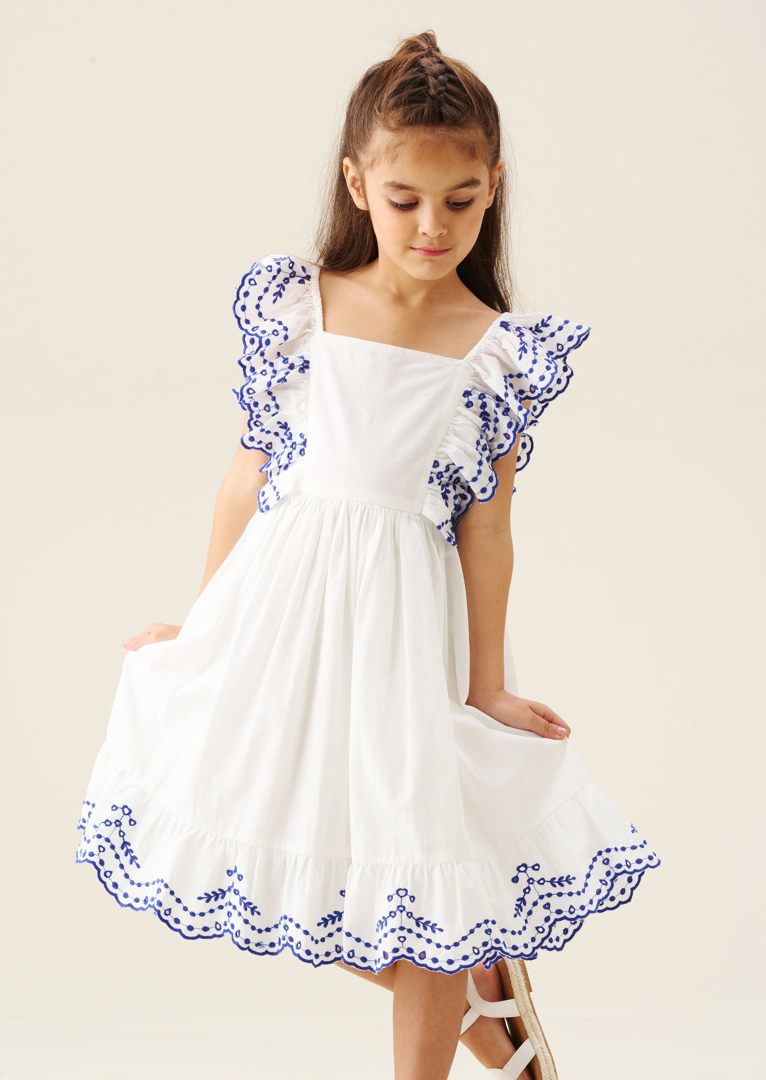 Sophie Embroidered Dress