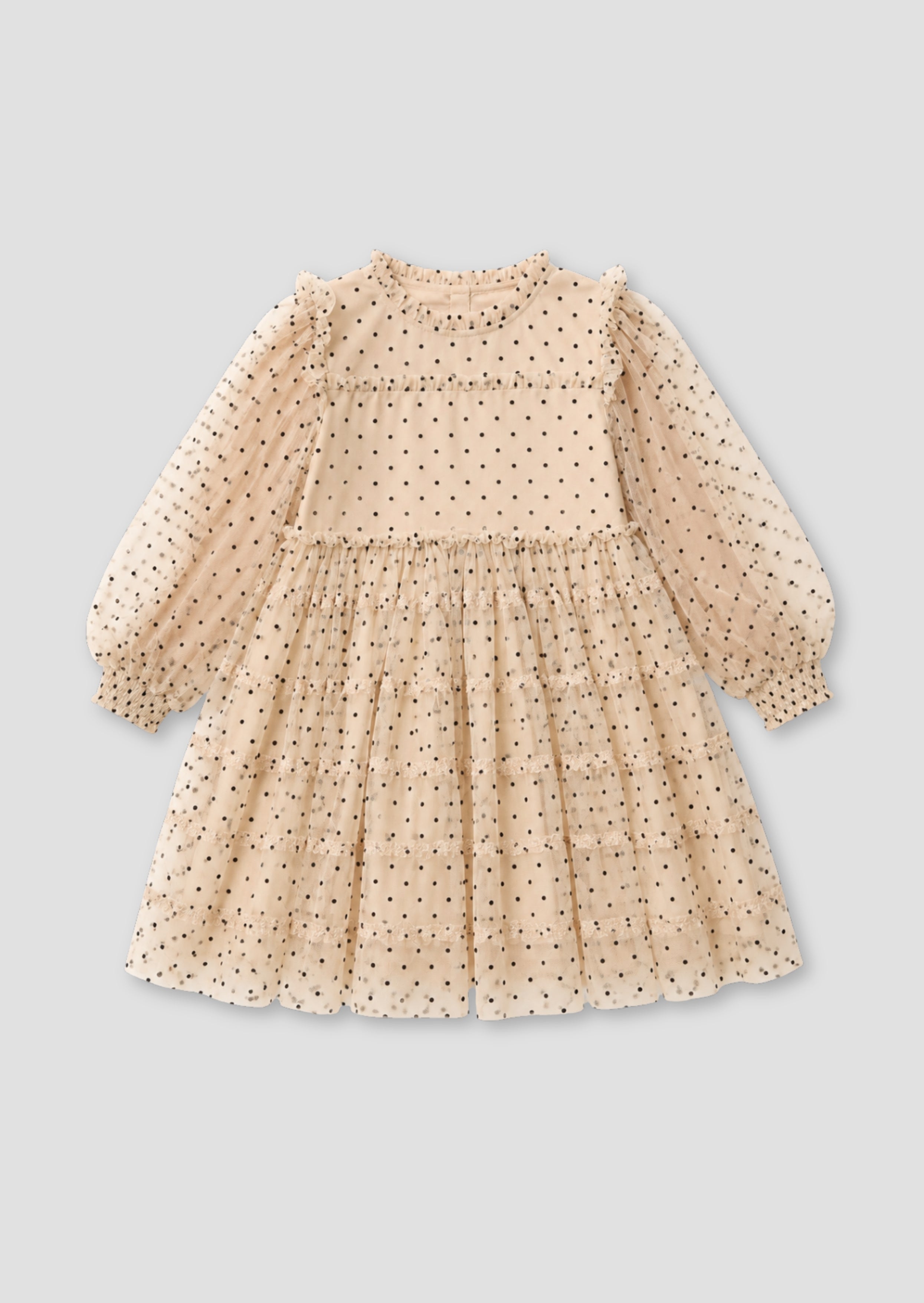 Anya Embroidered Mesh Dress