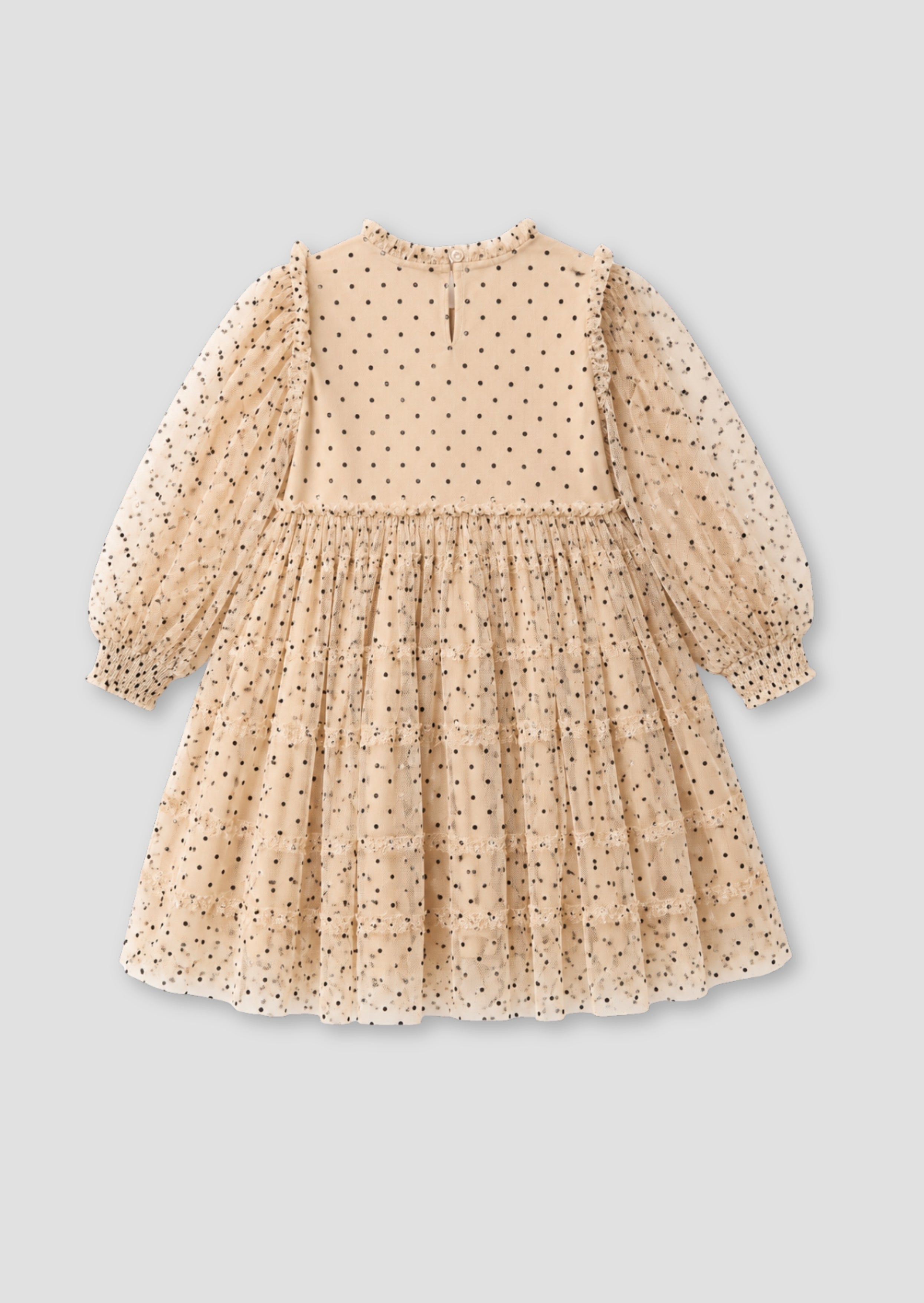 Anya Embroidered Mesh Dress