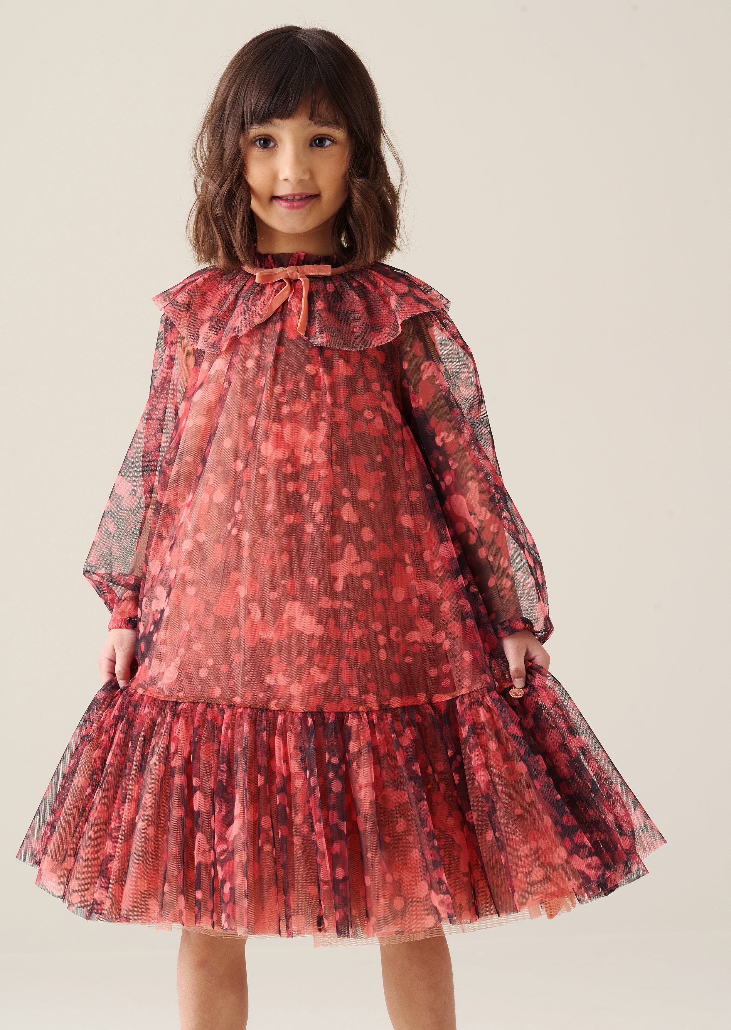 Cleo Collared Mesh Dress