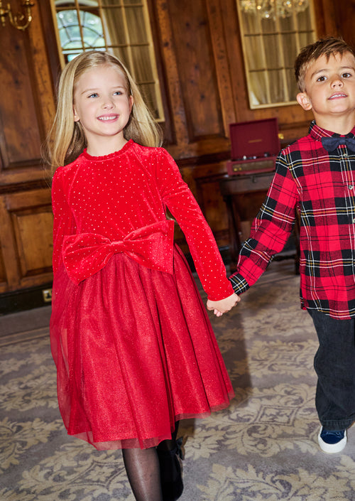 Elsie Red Velvet Tulle Dress