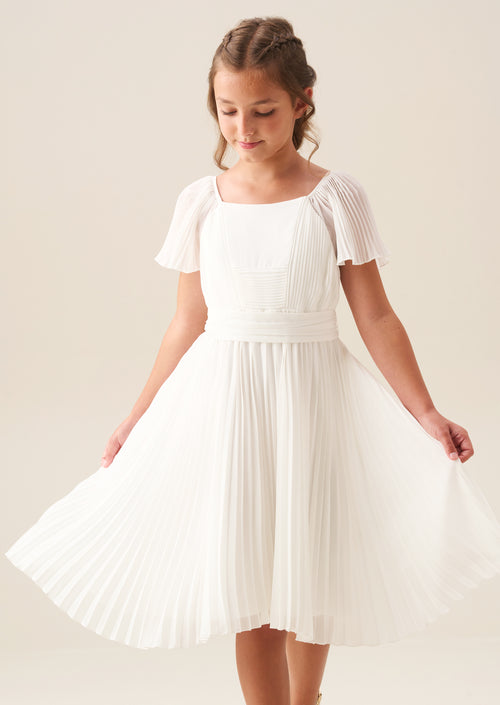 Camille Pleated Georgette Dress