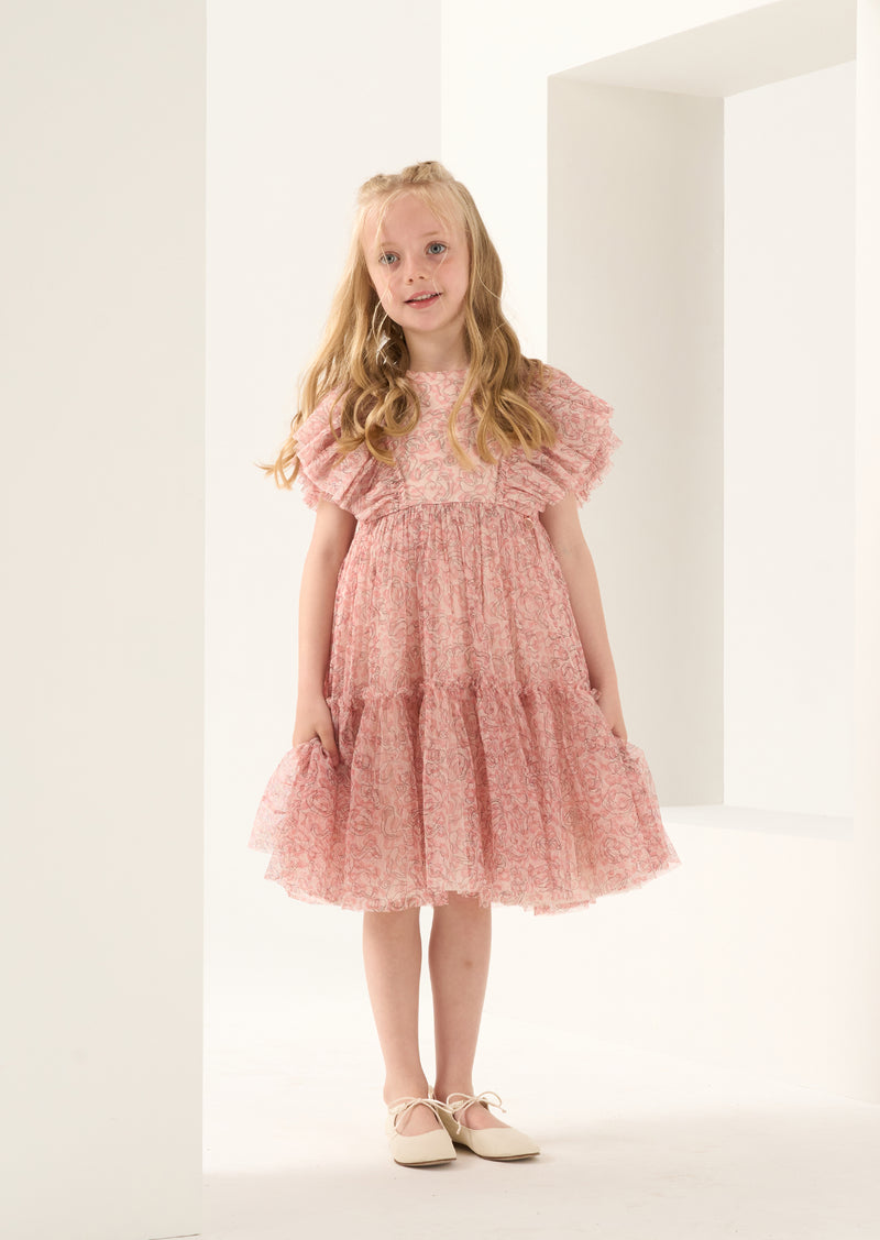 Juliana Pink Leopard Mesh Dress