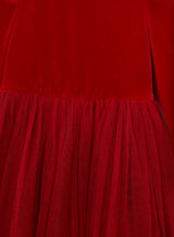 Elsie Velvet Tulle Dress
