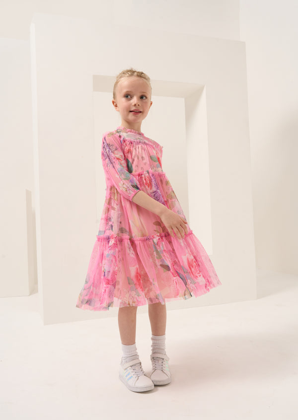 Eleanor Floral Print Mesh Dress