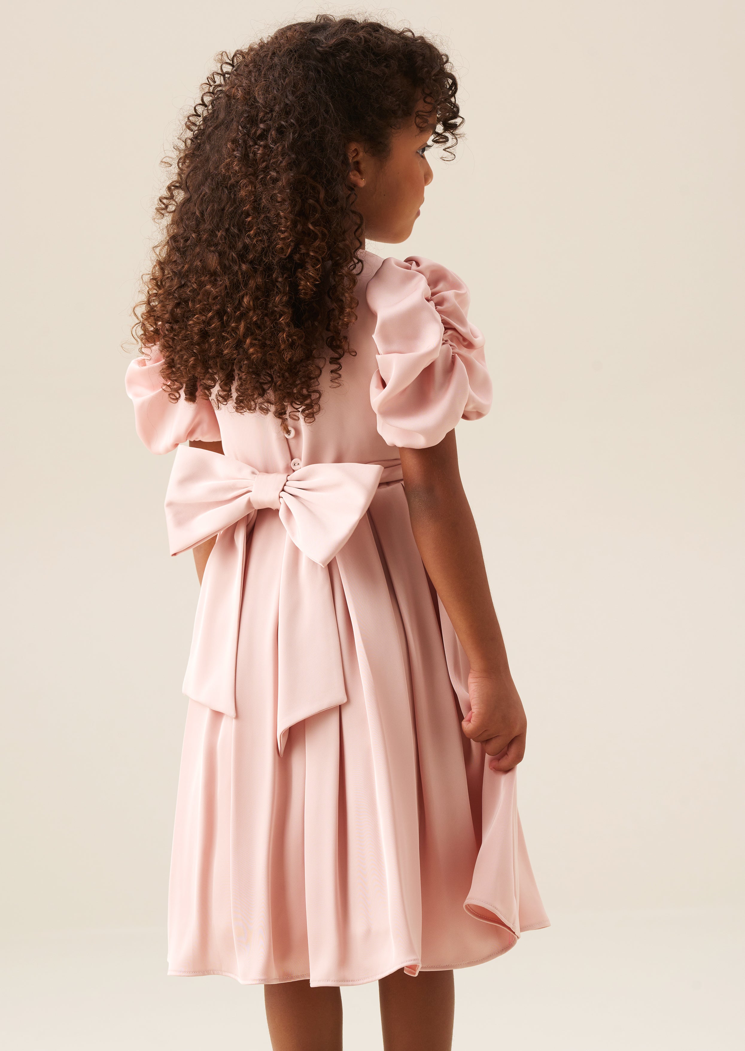 Portia Blush Pleated Bodice Dress