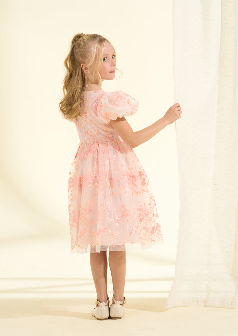 Noemie dress store