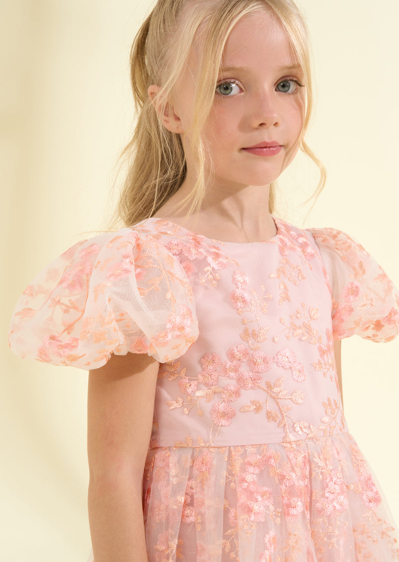 Noemie Pink Embroidered Dress