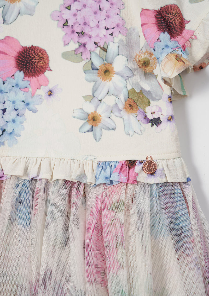 Azalea Ivory Ballerina Print Dress