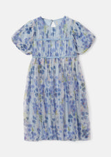 فستان مينا بطبعة زرقاء على الشبكة