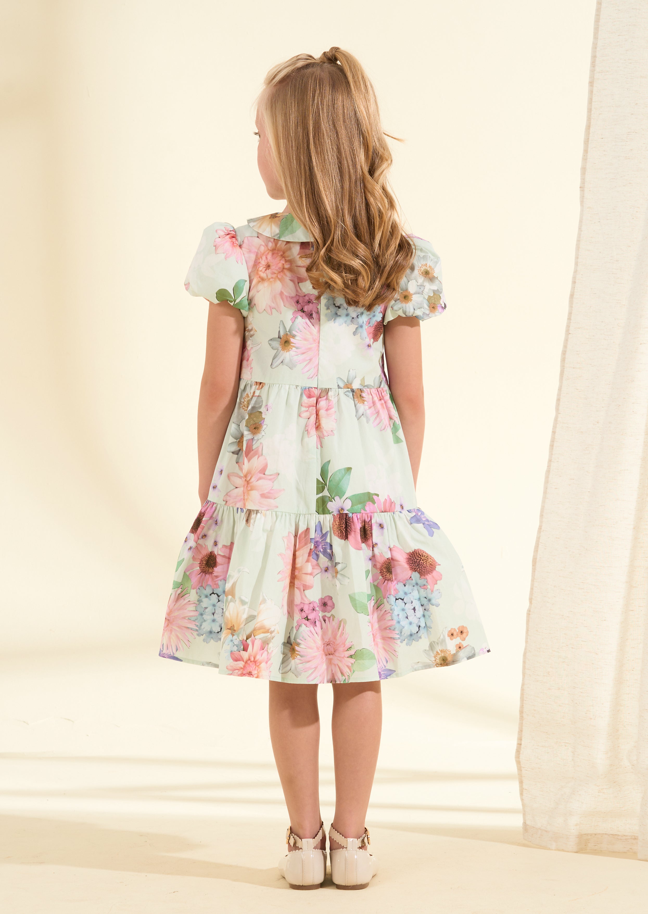 Lucia Sage Collar Print Dress