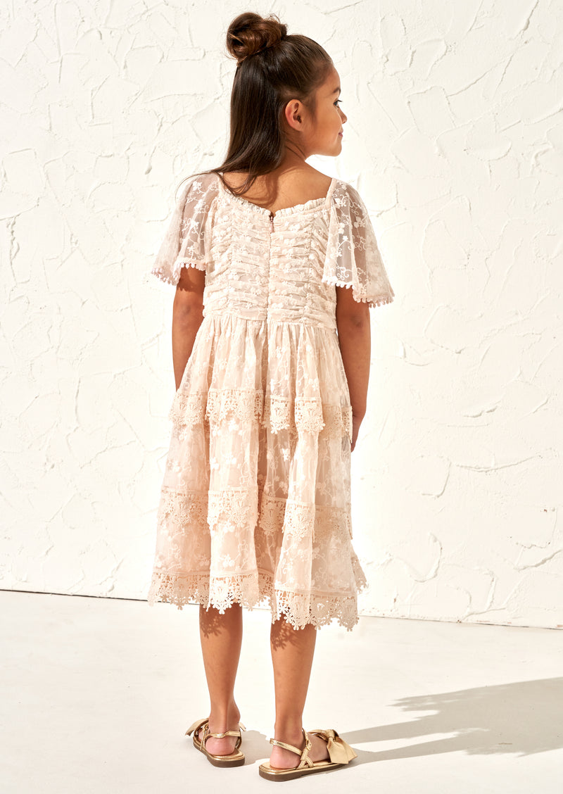 Annabelle Pink Vintage Lace Mesh Dress