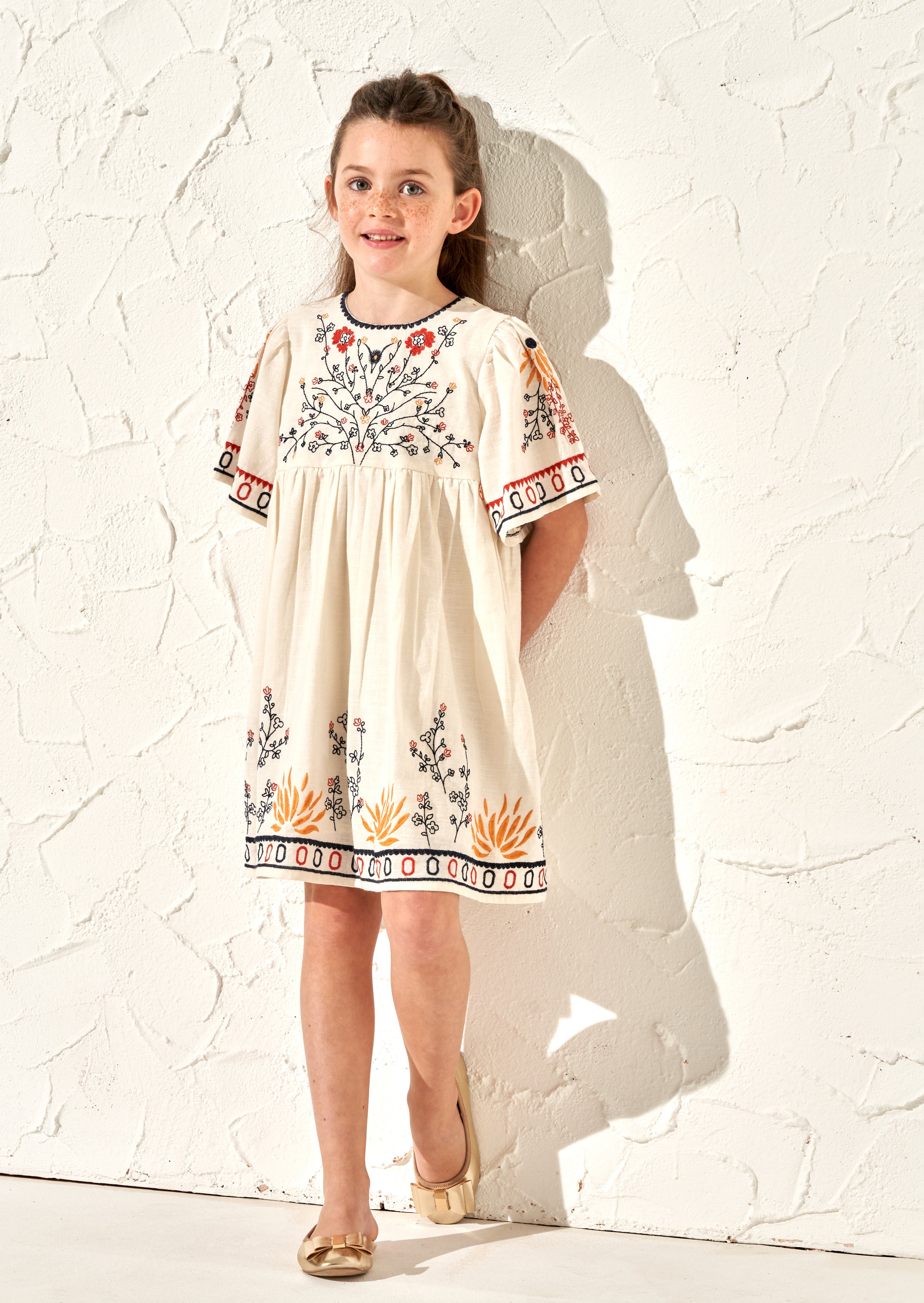 Reyna Embroidered Swing Dress