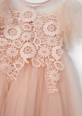 Anelise Blush Cascade Lace Dress