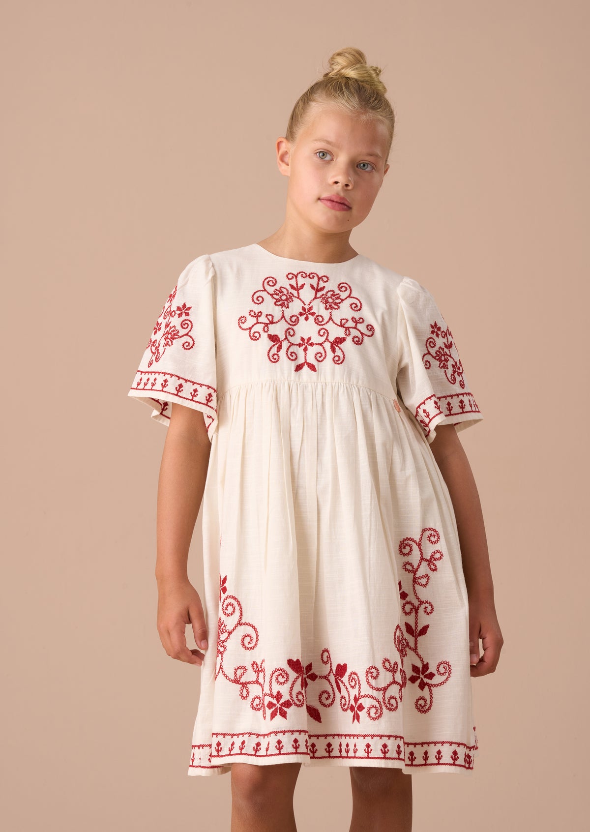 Reyna Embroidered Swing Dress