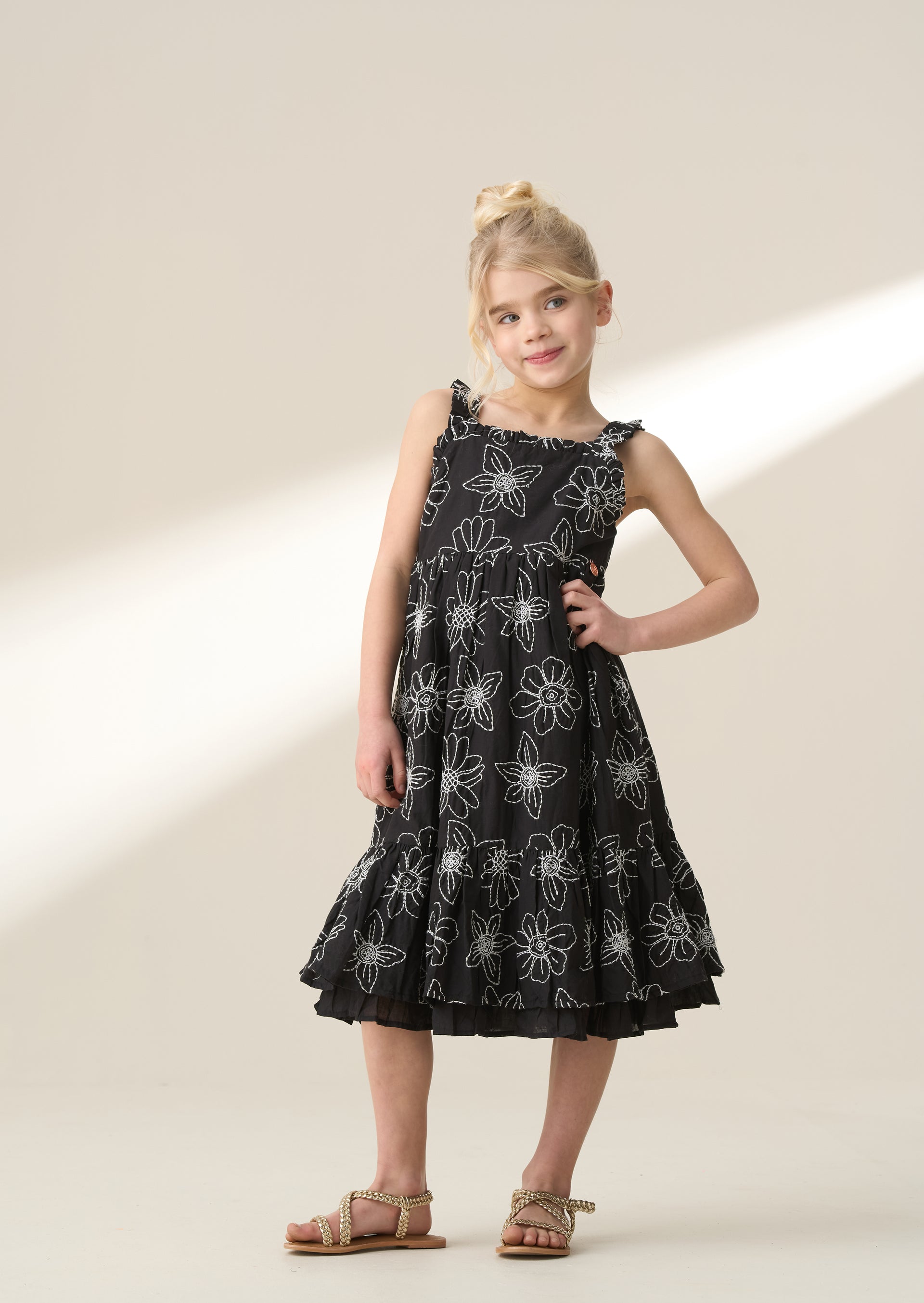 Maya Embroidered Woven Dress