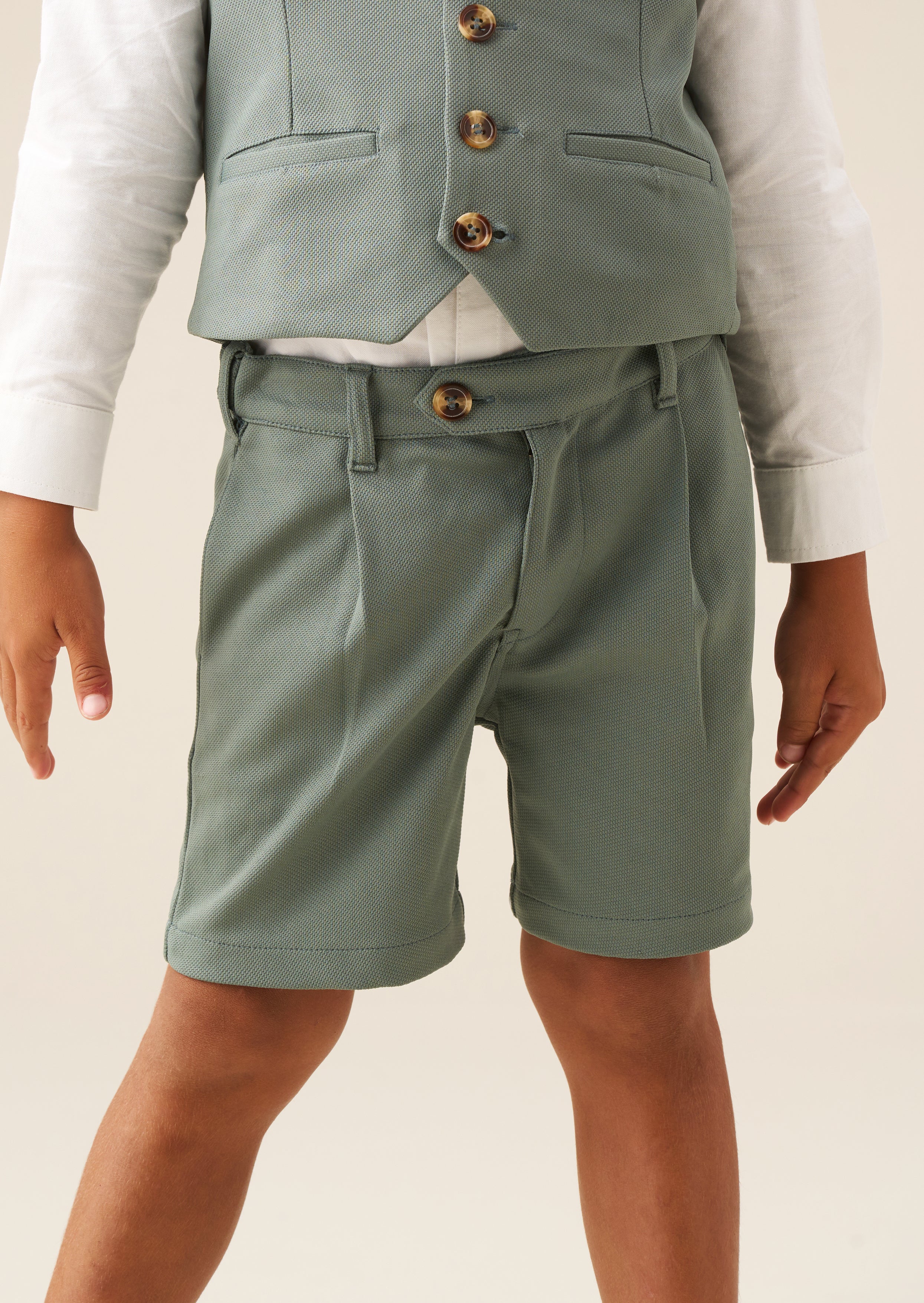 Benjamin Pleat Front Smart Short