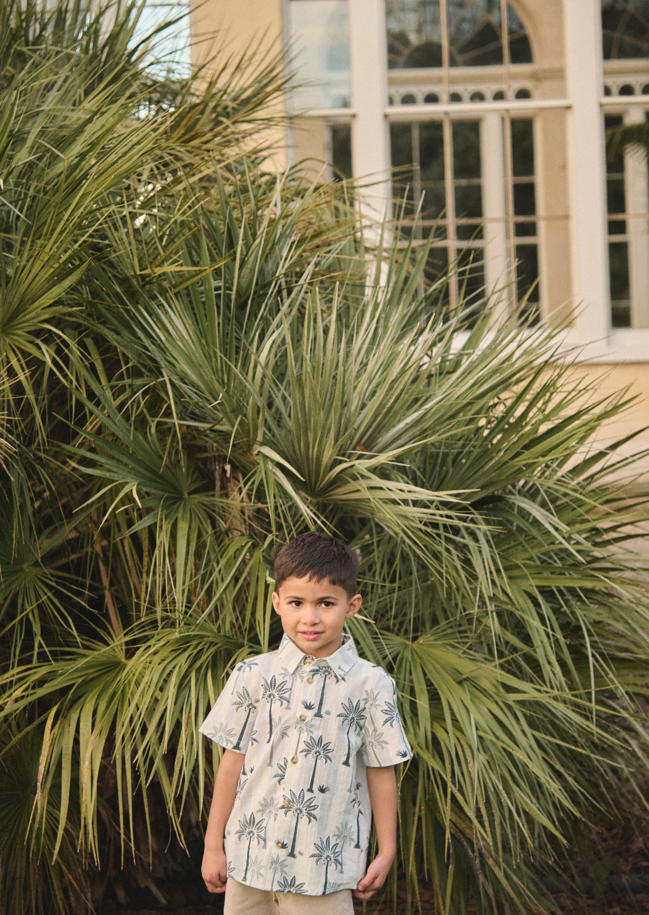 Jamie Palm Stripe Shirt