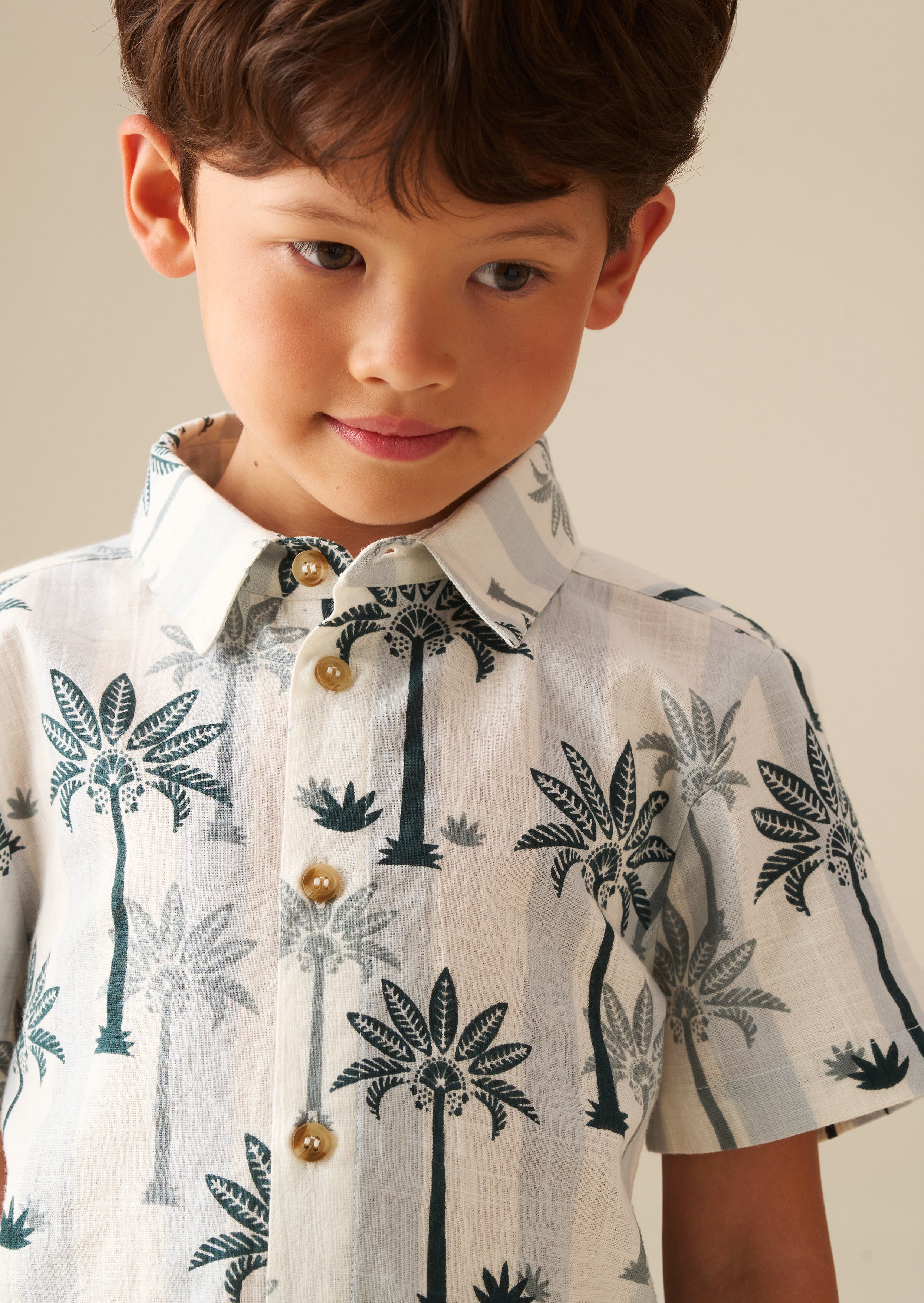 Jamie Palm Stripe Shirt