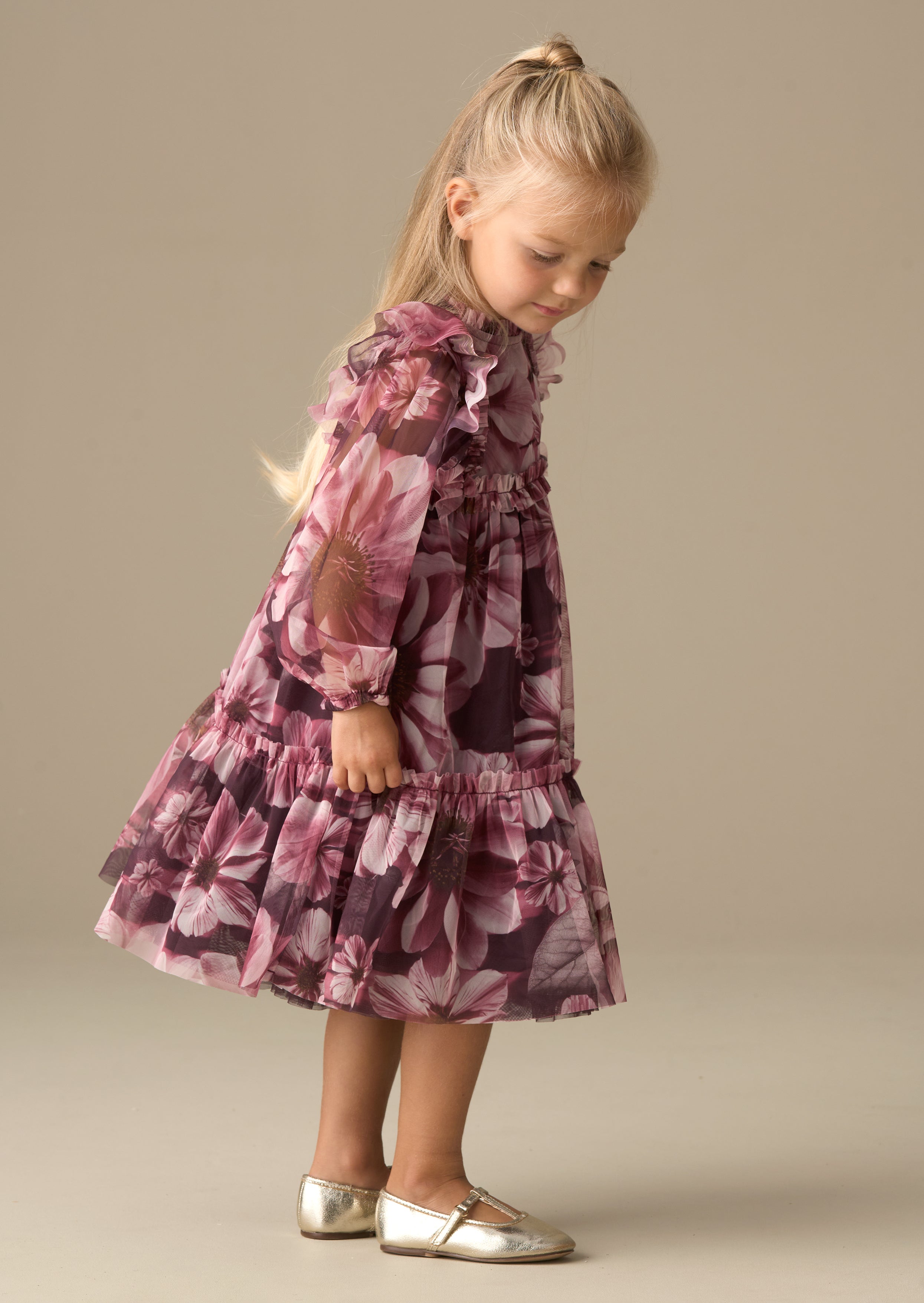 Estelle Floral Print Mesh Dress