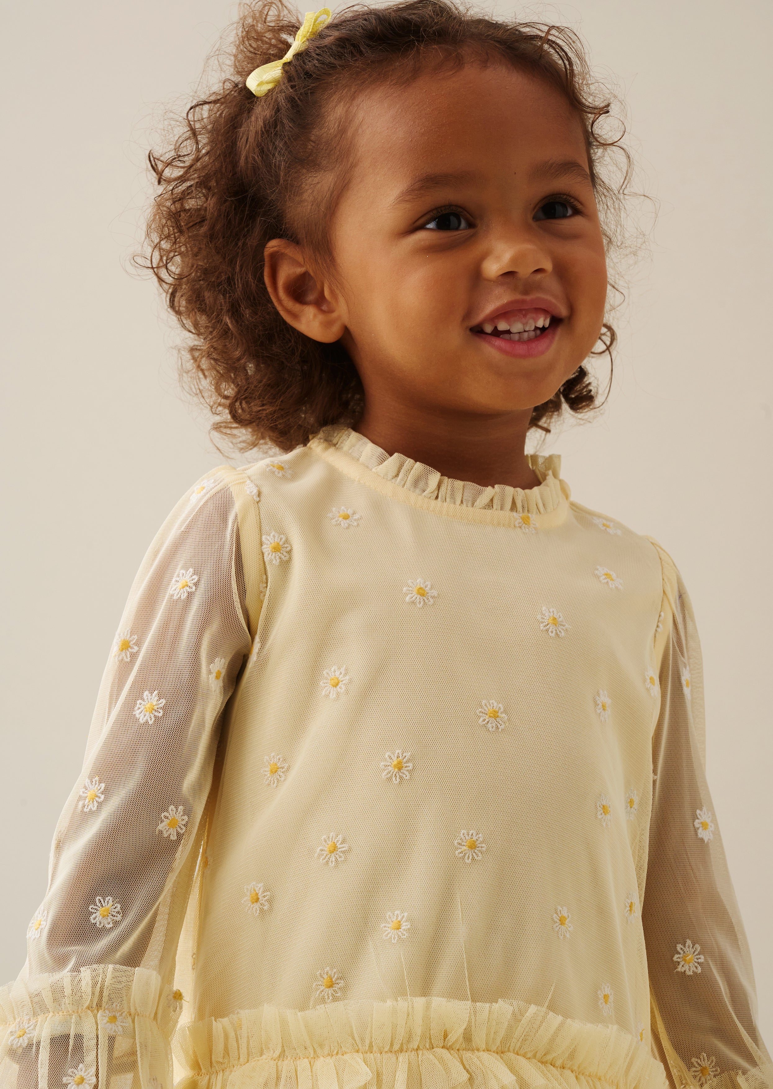 فستان شبكي مطرز بنف ديسي