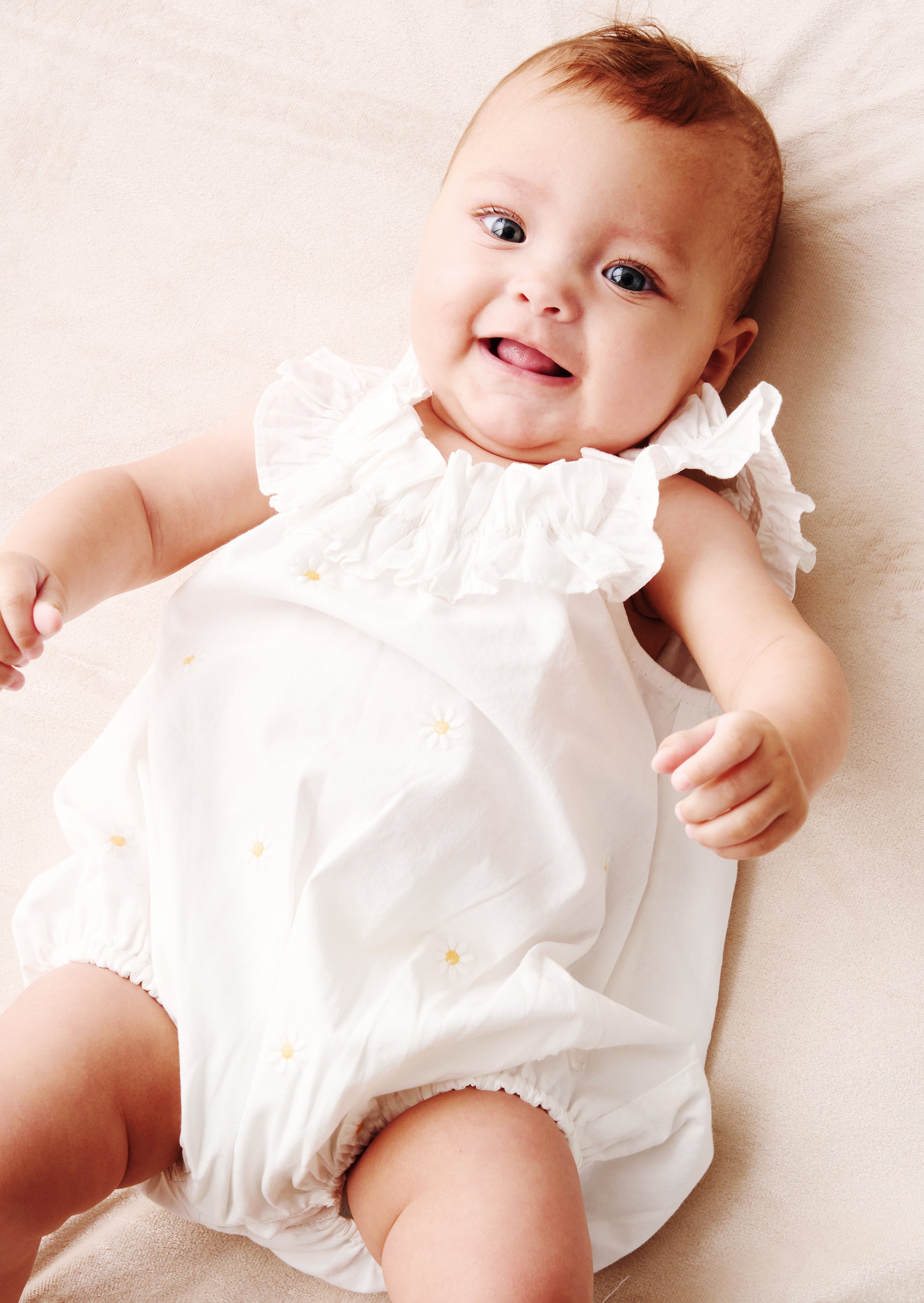 رومبر ميلا ديزي المطرز بالكشكشة