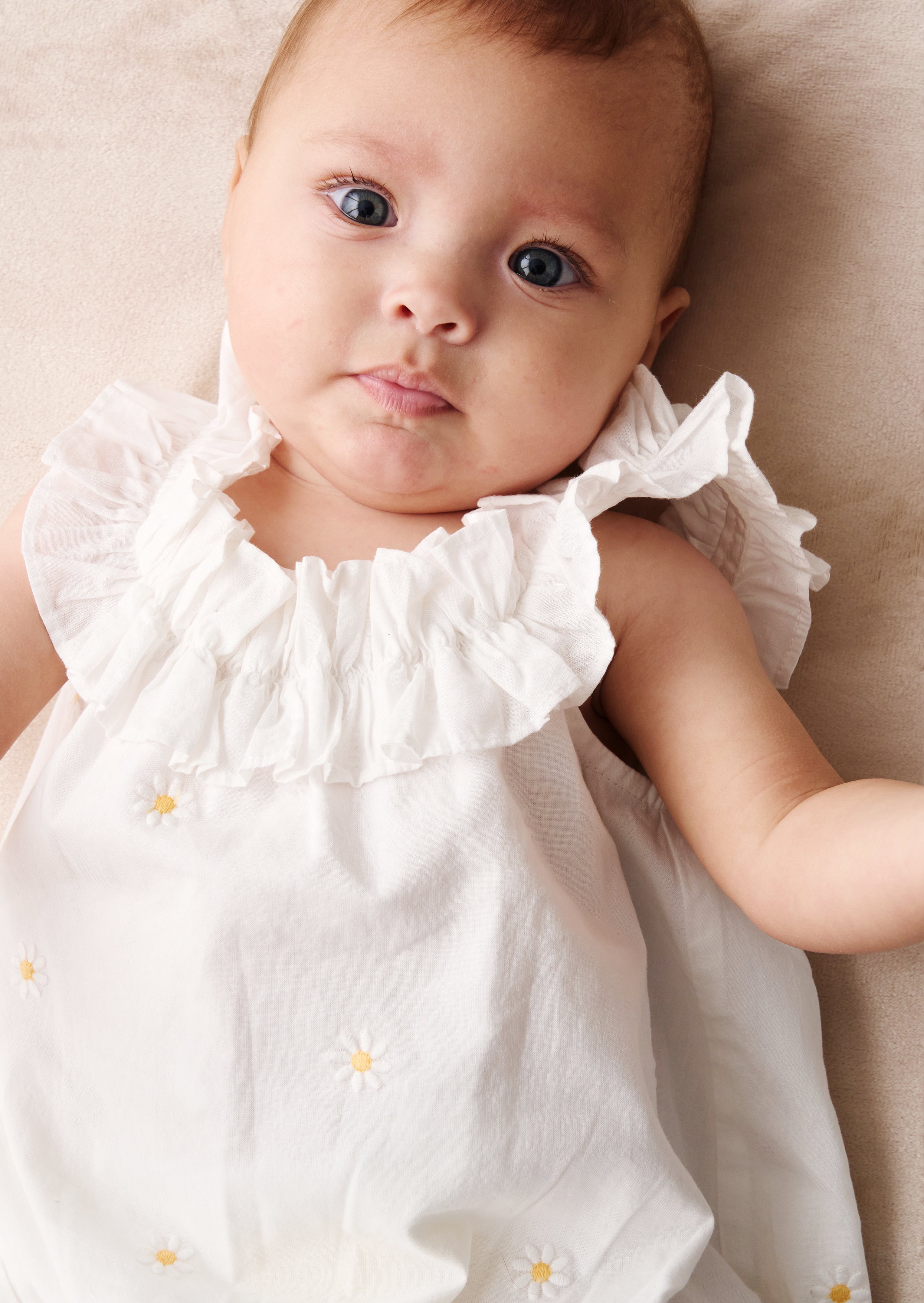 رومبر ميلا ديزي المطرز بالكشكشة