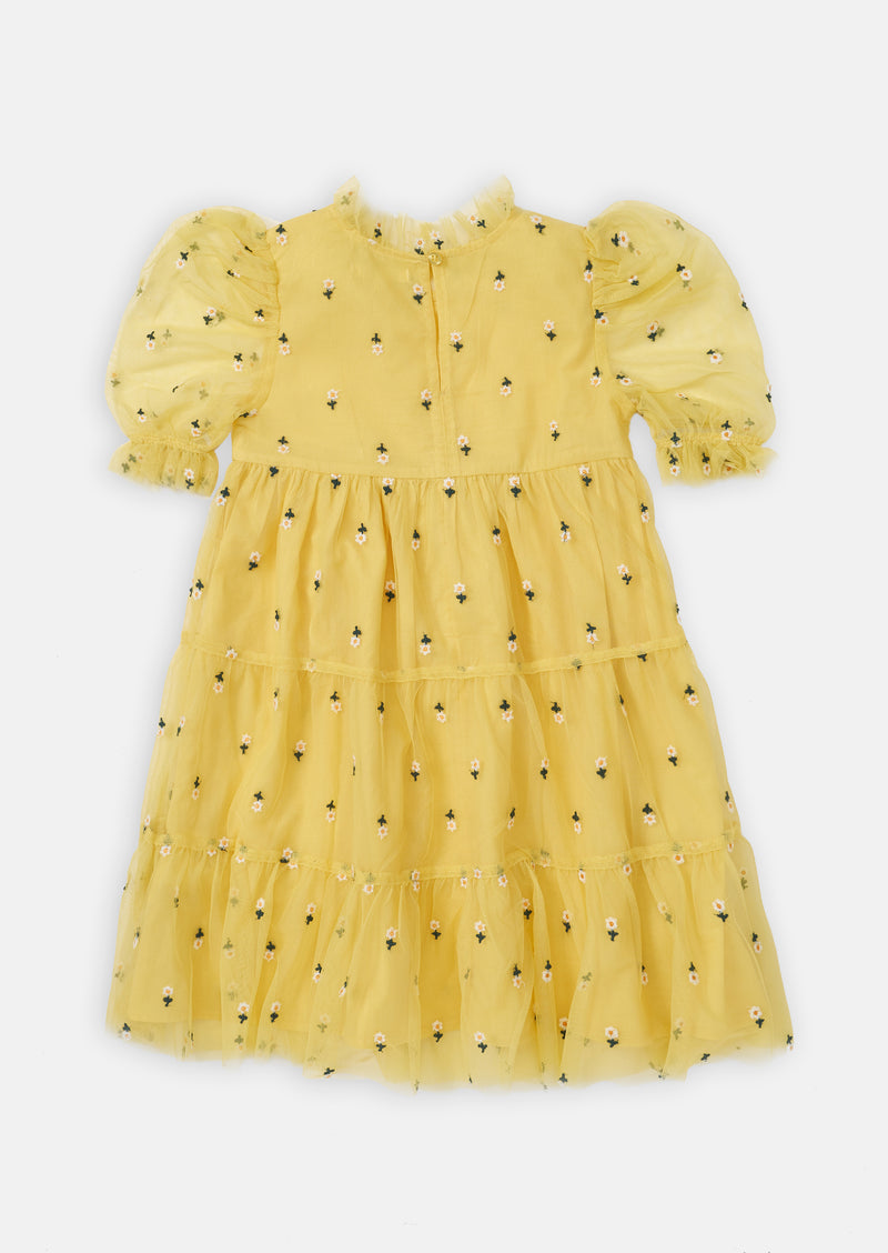 Daisy  Embroidered Mesh Dress