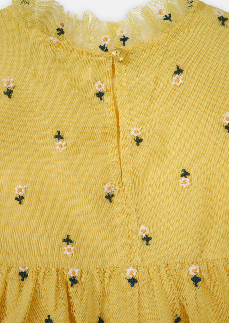 Daisy  Embroidered Mesh Dress
