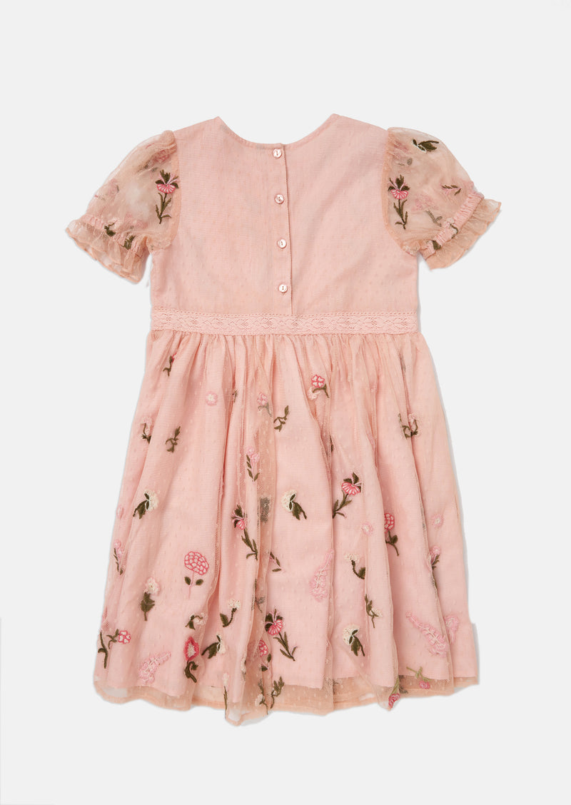 Una Embroidered Dress