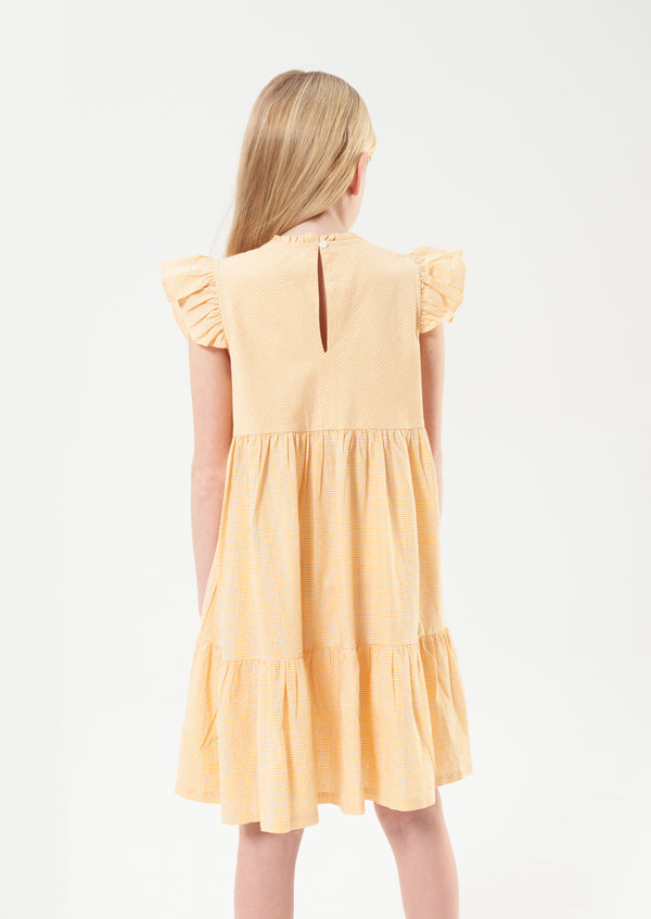 Theodora Embroidered Yolk Sleeveless Dress