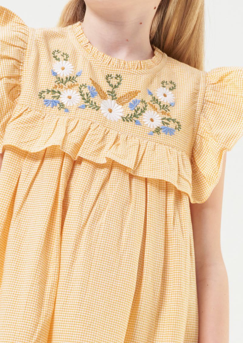 Theodora Embroidered Yolk Sleeveless Dress