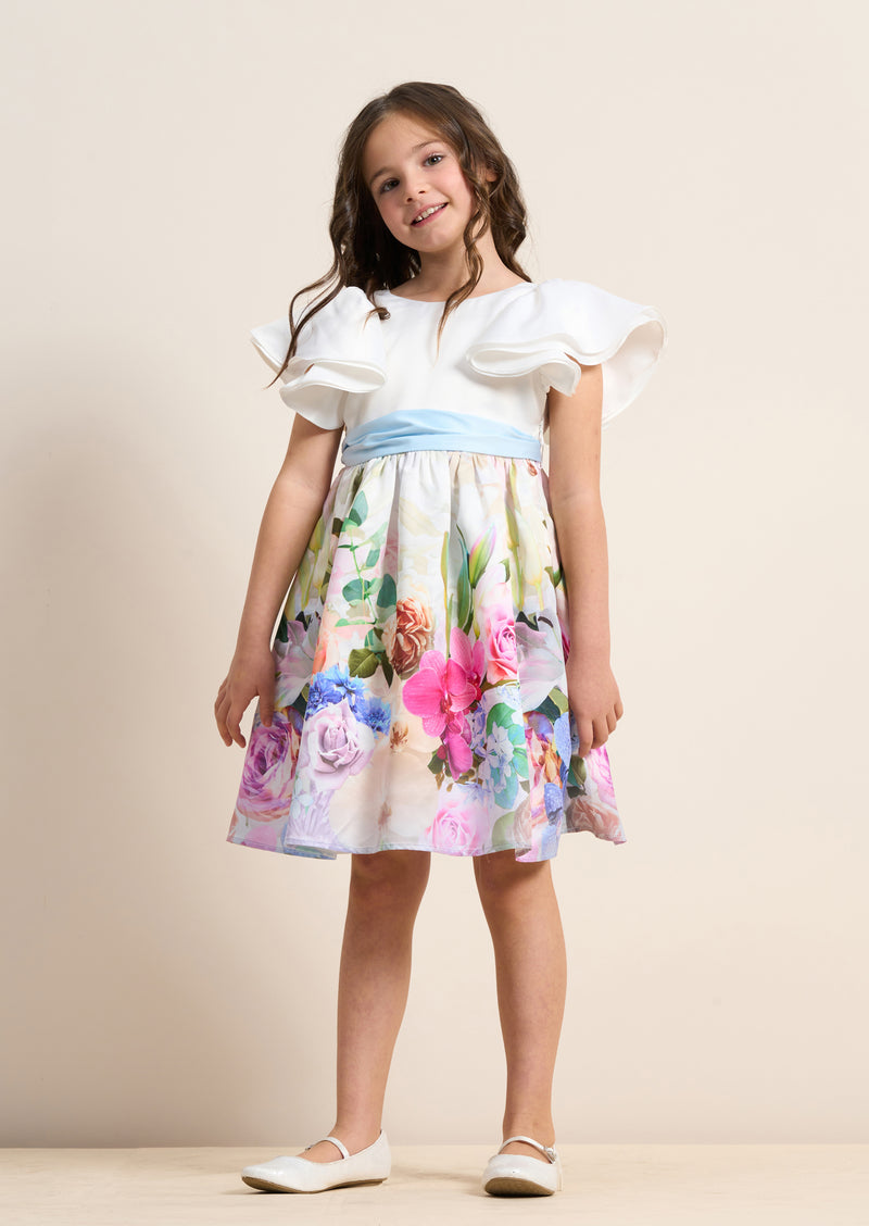 Sylvie Border Print Ruffle Shoulder Dress