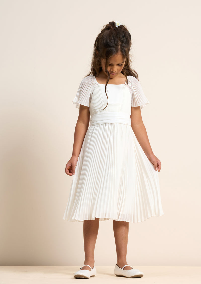 Camille Pleated Georgette Dress