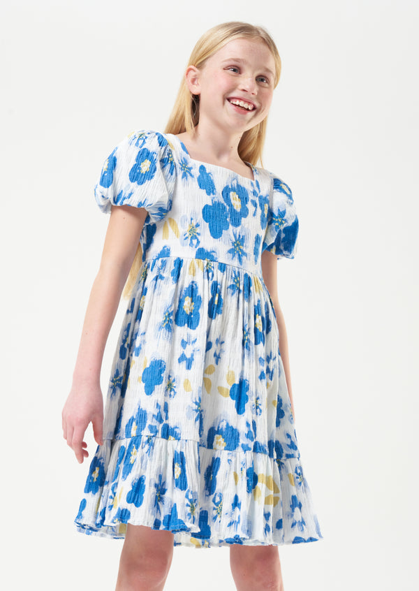 Simone Printed Seersucker Dress
