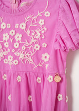 Luisa Embroidered Mesh Dress