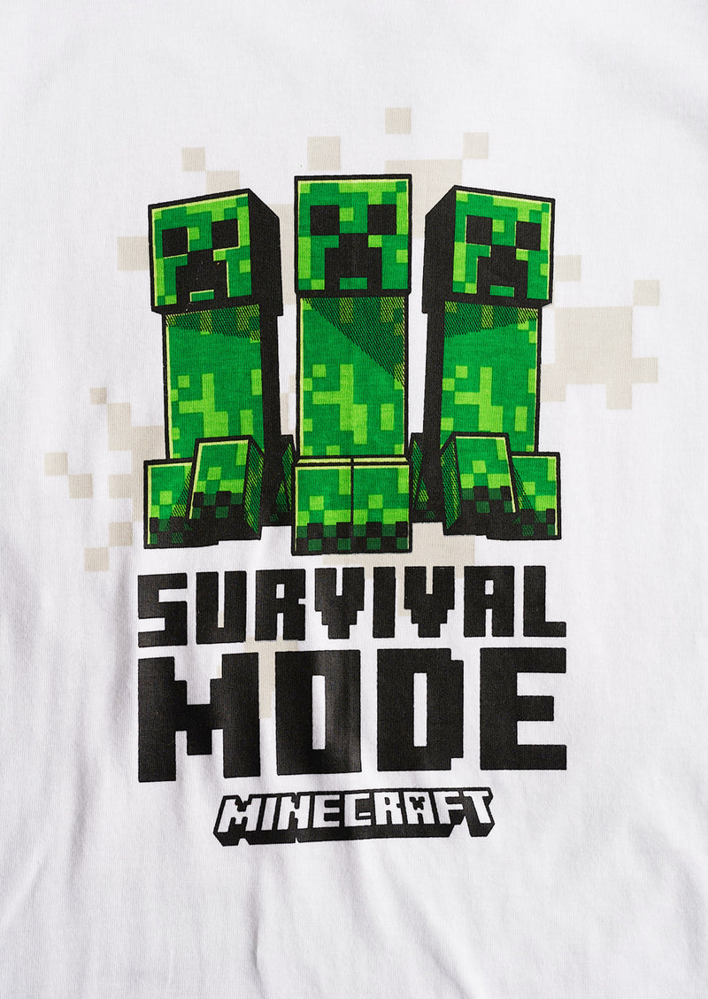 Minecraft Pj Set