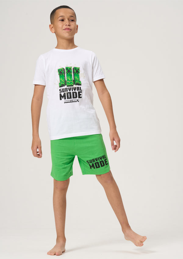 Minecraft Pj Set