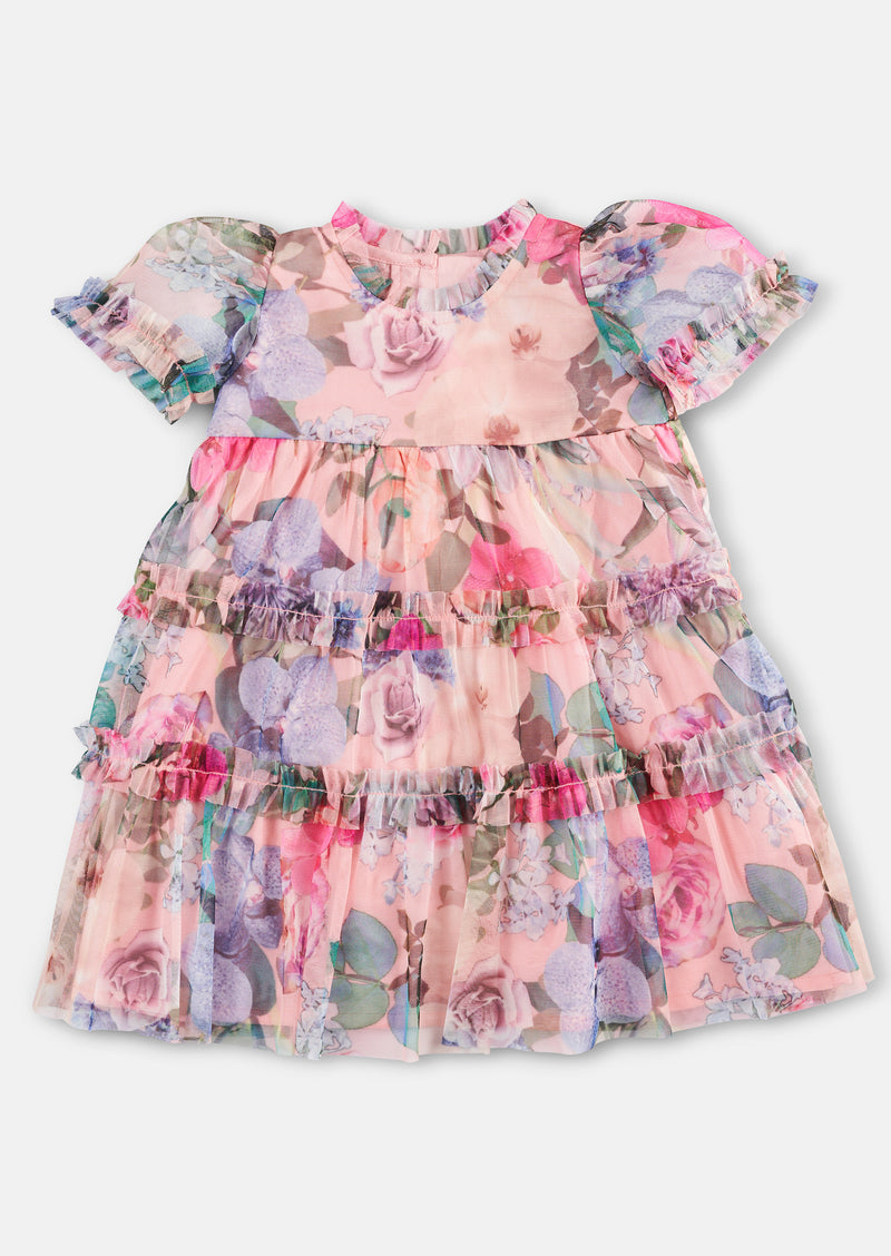 Eleanor Printed Mesh Dress