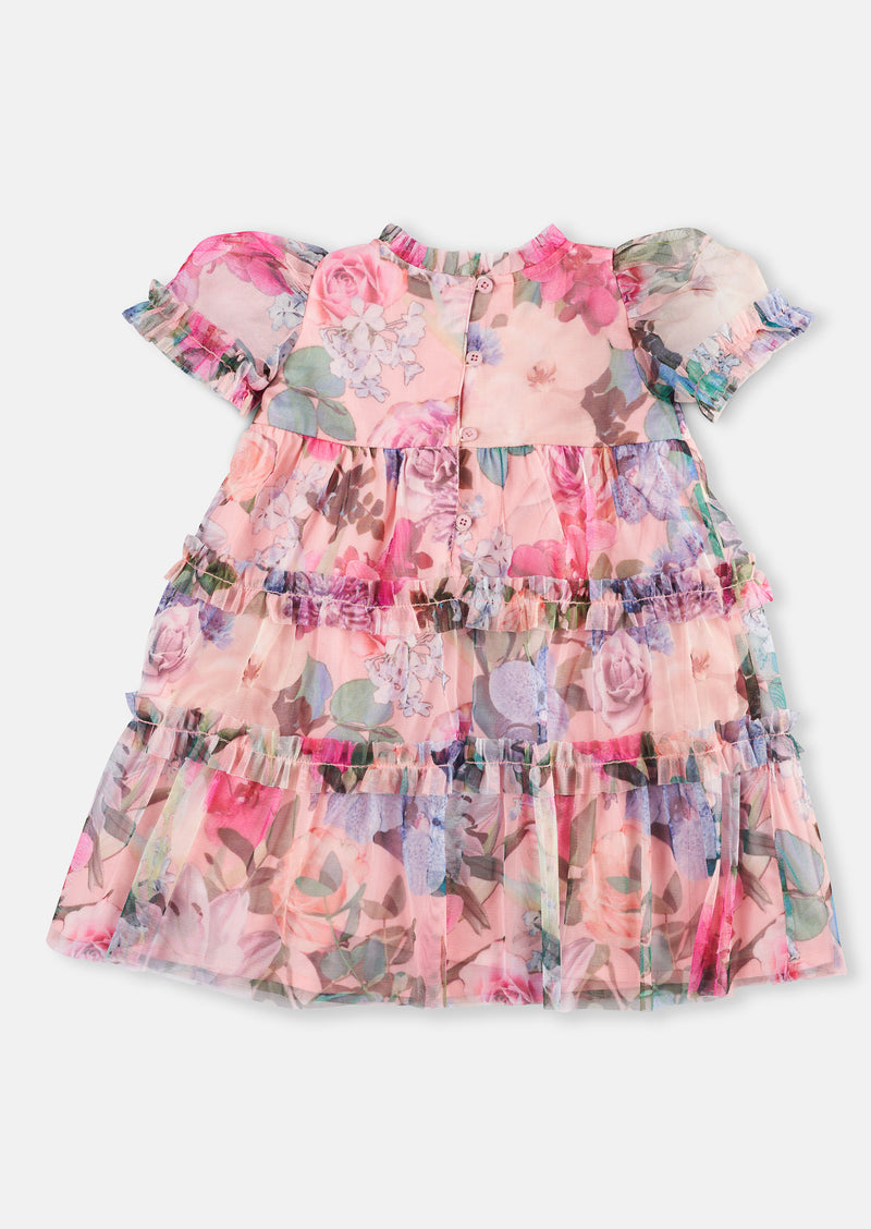 Eleanor Printed Mesh Dress