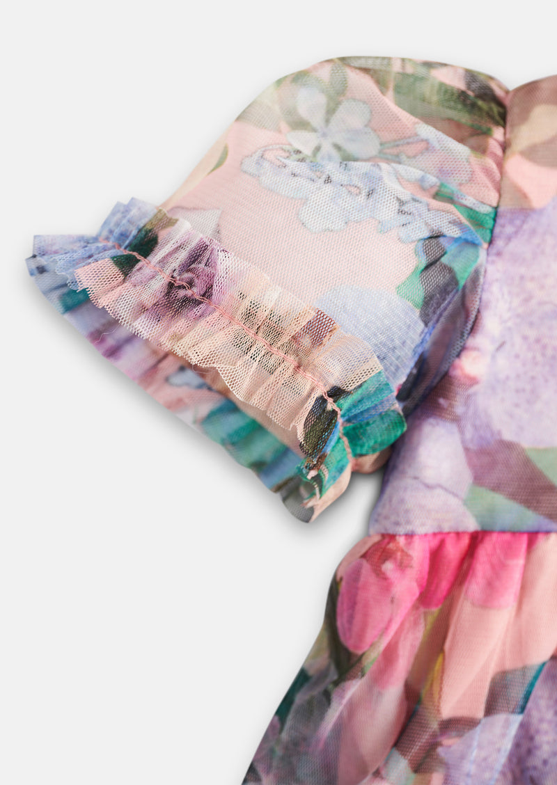 Eleanor Printed Mesh Dress