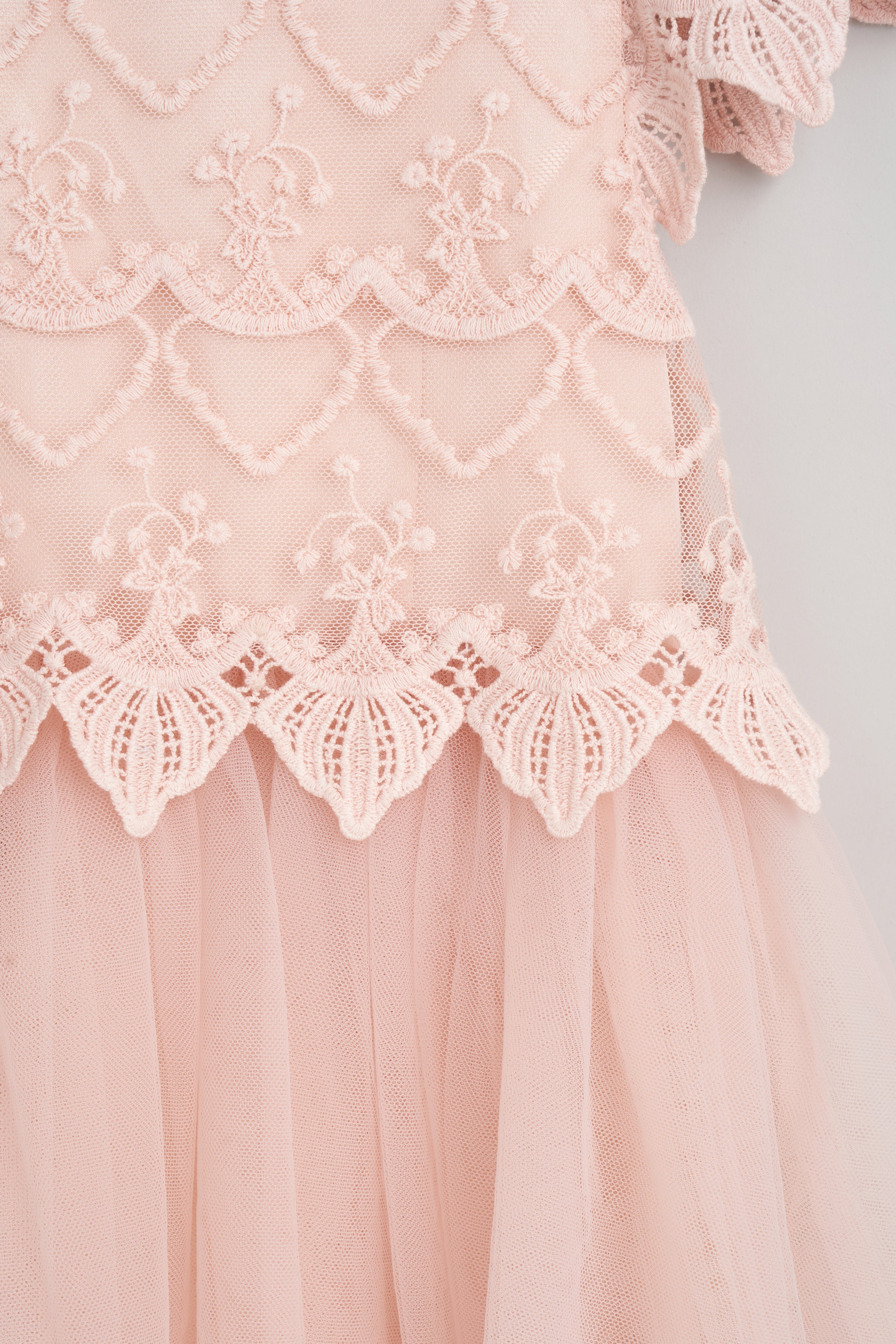 Lucy Spitzenoberteil Kleid Blush
